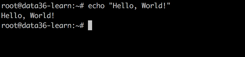 data coding bash hello world