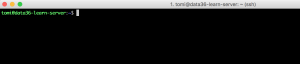 bash command line login screen