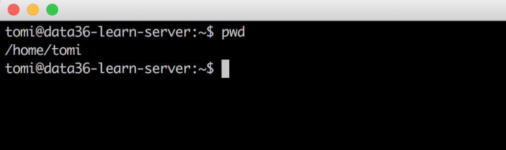 bash command line pwd