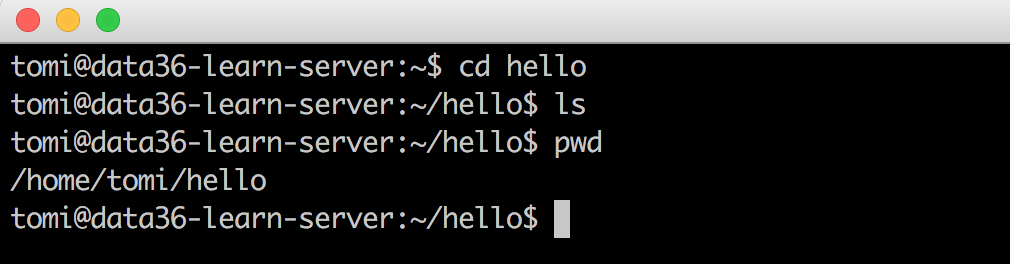 bash command line pwd ls