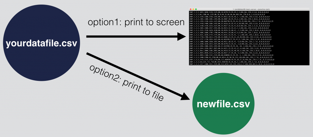 bash commandline where to print