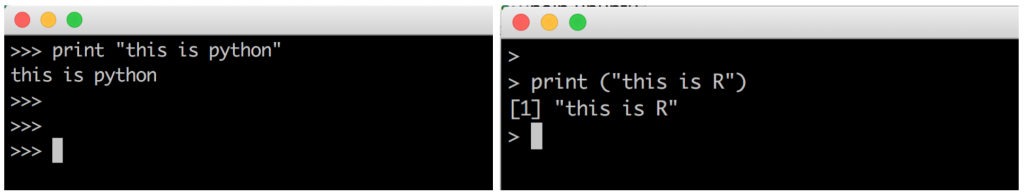 r prompt python prompt