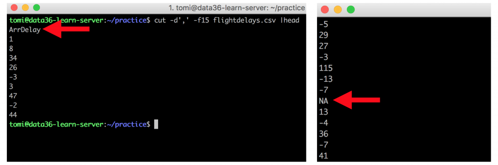 command line bash remove garbage data