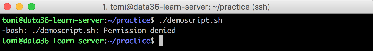 command-line-bash-script-permission-denied-data36