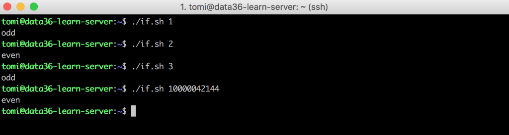 Variables If Statements And While Loops In Bash Data Coding 101