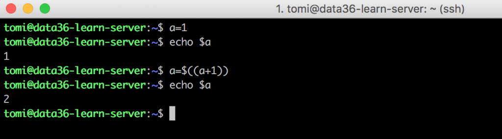 data science command line bash variables addition