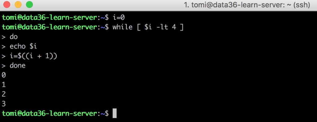 Variables If Statements And While Loops In Bash Data Coding 101