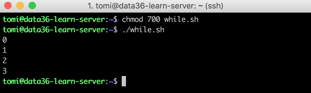 data science command line bash while loop running