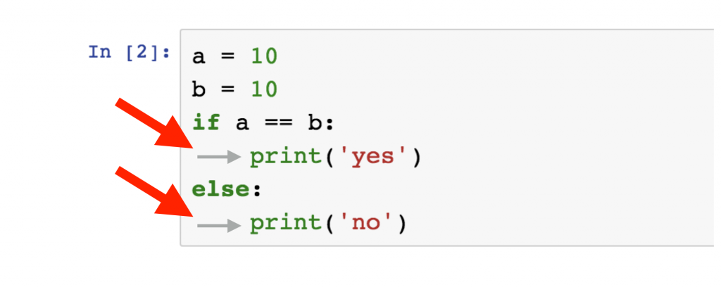 assignment if python