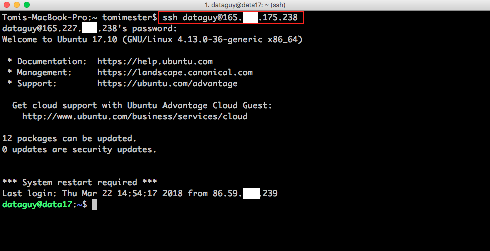 how-to-import-data-into-sql-tables-tutorial-3-methods