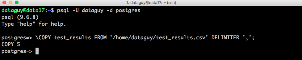 import data postgresql copy command line