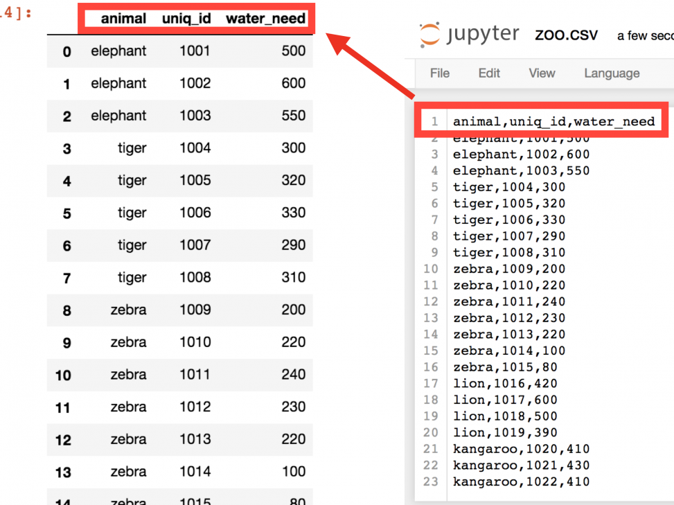 pandas-tutorial-1-pandas-basics-read-csv-dataframe-data-selection