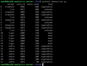 Run python script from command line
