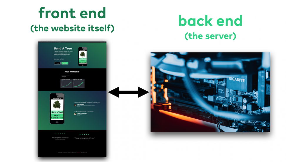 How Data Collection Works on Websites (concepts: front end & back end)