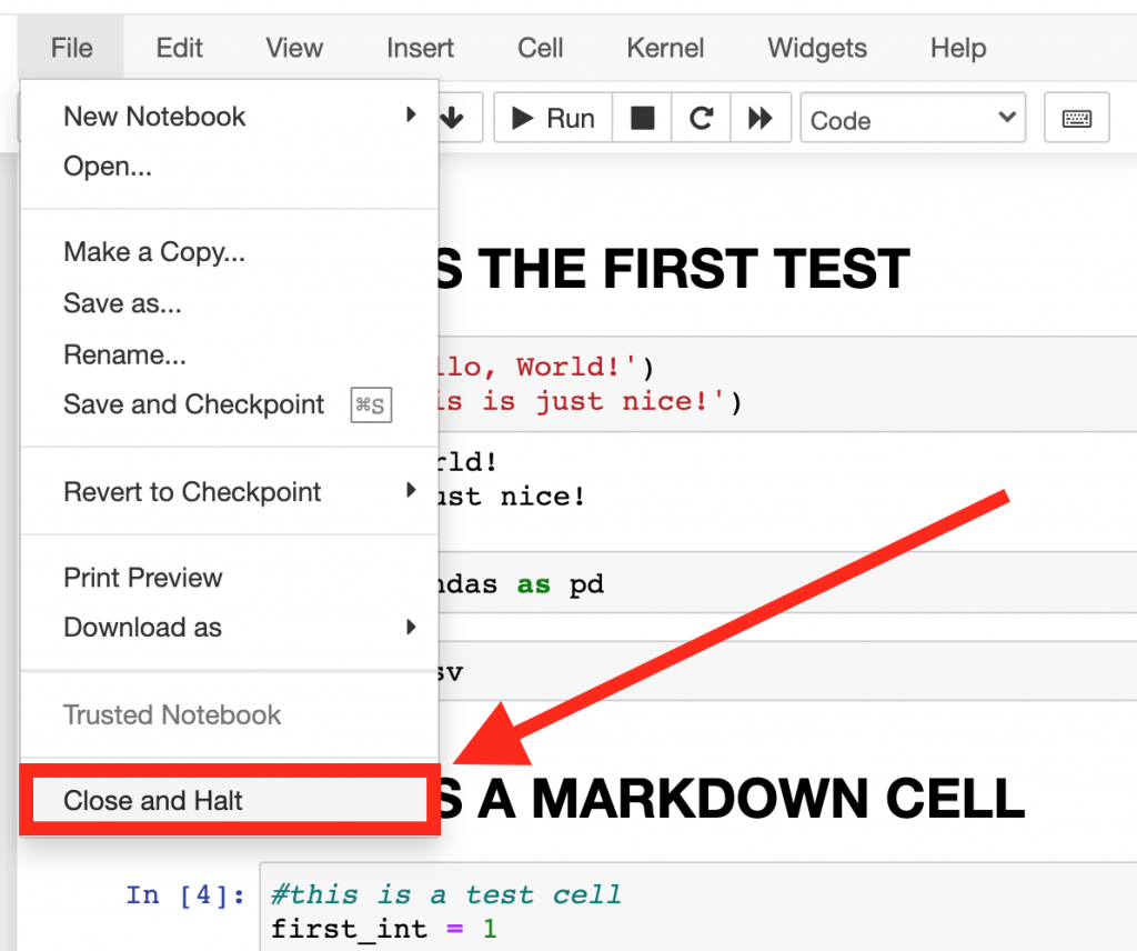 best practice shut down kernel jupyter