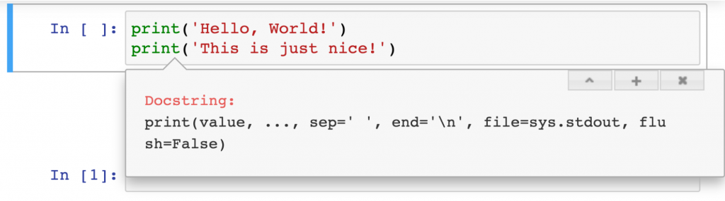 inline documentation in jupyter best practice