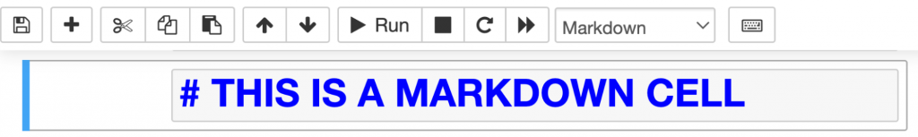 upyter notebook best practice markdown cell example