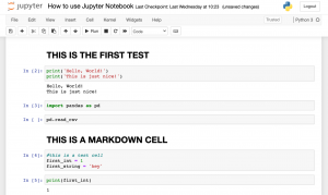 jupyter notebook example nice commenting markdown